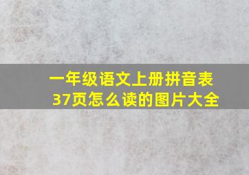 一年级语文上册拼音表37页怎么读的图片大全