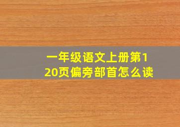 一年级语文上册第120页偏旁部首怎么读