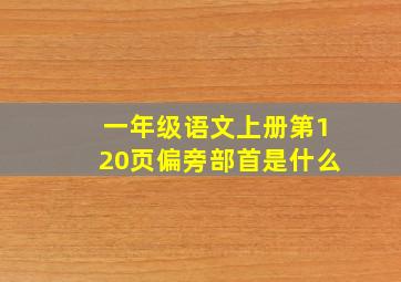 一年级语文上册第120页偏旁部首是什么