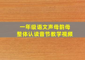 一年级语文声母韵母整体认读音节教学视频