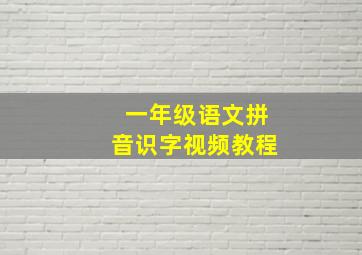 一年级语文拼音识字视频教程