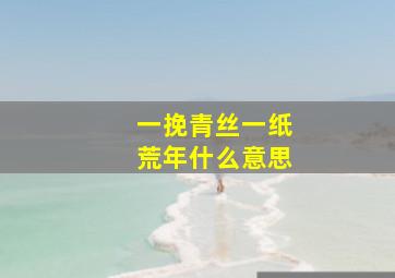 一挽青丝一纸荒年什么意思