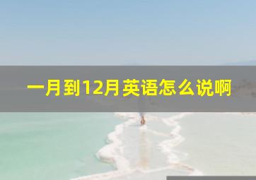 一月到12月英语怎么说啊