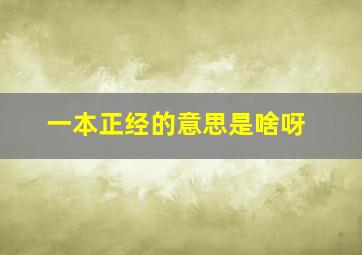 一本正经的意思是啥呀