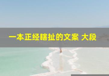 一本正经瞎扯的文案 大段