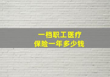 一档职工医疗保险一年多少钱