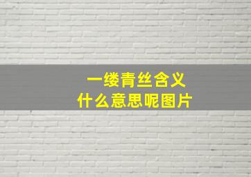 一缕青丝含义什么意思呢图片