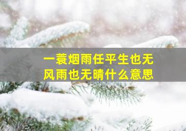 一蓑烟雨任平生也无风雨也无晴什么意思