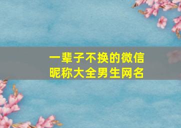 一辈子不换的微信昵称大全男生网名