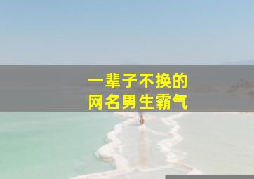 一辈子不换的网名男生霸气