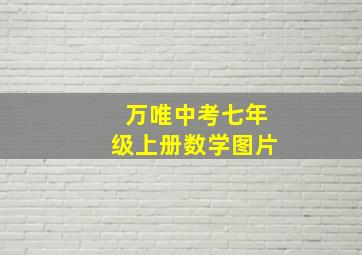 万唯中考七年级上册数学图片