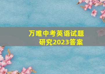 万唯中考英语试题研究2023答案