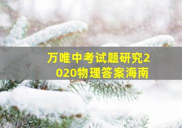 万唯中考试题研究2020物理答案海南