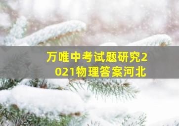 万唯中考试题研究2021物理答案河北