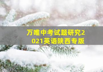 万唯中考试题研究2021英语陕西专版