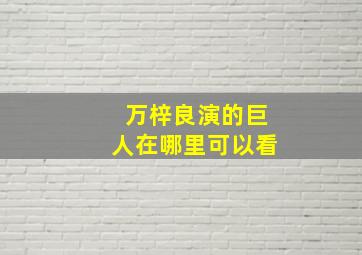 万梓良演的巨人在哪里可以看