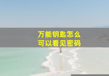 万能钥匙怎么可以看见密码