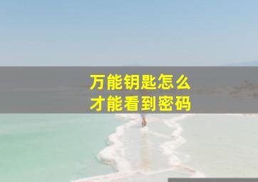 万能钥匙怎么才能看到密码