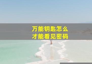 万能钥匙怎么才能看见密码