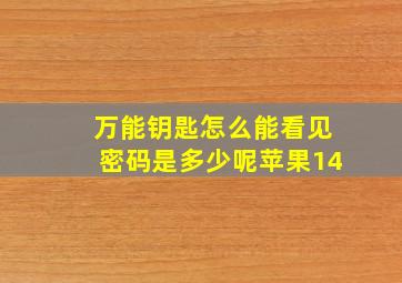 万能钥匙怎么能看见密码是多少呢苹果14