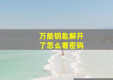 万能钥匙解开了怎么看密码