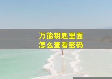 万能钥匙里面怎么查看密码