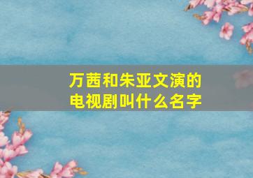 万茜和朱亚文演的电视剧叫什么名字