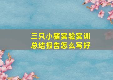 三只小猪实验实训总结报告怎么写好