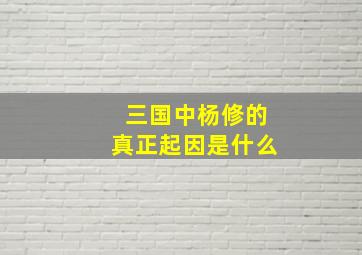 三国中杨修的真正起因是什么