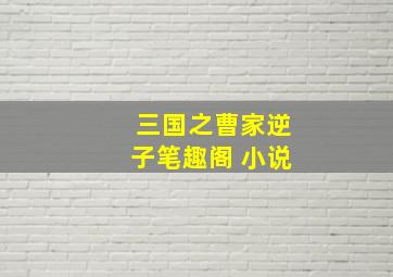 三国之曹家逆子笔趣阁 小说