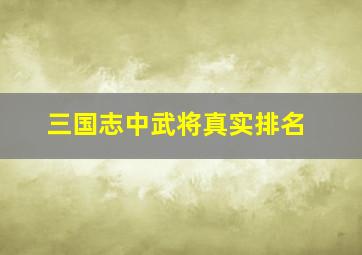 三国志中武将真实排名