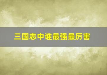 三国志中谁最强最厉害