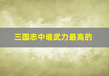 三国志中谁武力最高的