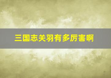 三国志关羽有多厉害啊