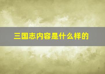 三国志内容是什么样的