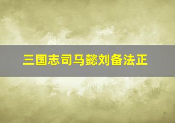 三国志司马懿刘备法正