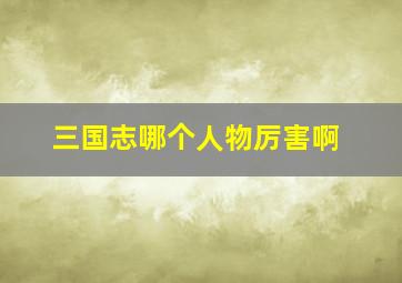 三国志哪个人物厉害啊