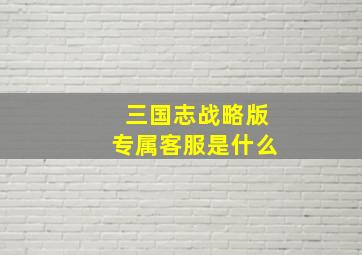 三国志战略版专属客服是什么