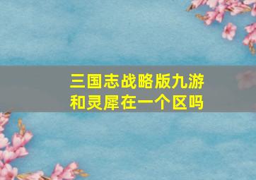 三国志战略版九游和灵犀在一个区吗