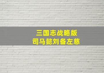 三国志战略版司马懿刘备左慈