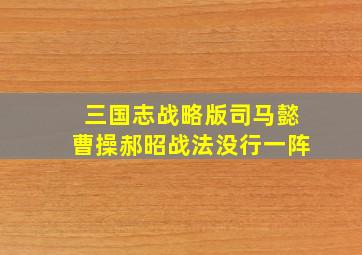 三国志战略版司马懿曹操郝昭战法没行一阵