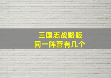 三国志战略版同一阵营有几个