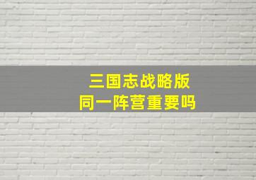 三国志战略版同一阵营重要吗