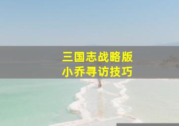 三国志战略版小乔寻访技巧