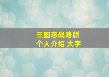 三国志战略版 个人介绍 大字