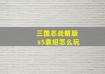 三国志战略版s5袁绍怎么玩