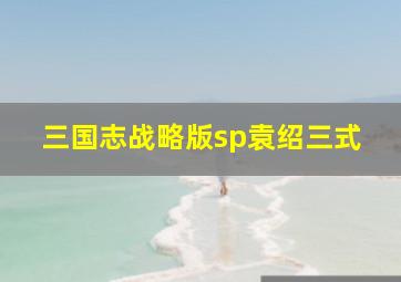 三国志战略版sp袁绍三式