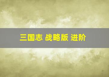 三国志 战略版 进阶