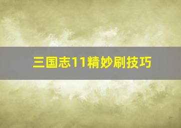 三国志11精妙刷技巧