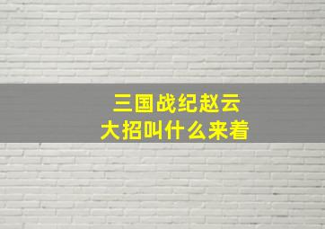 三国战纪赵云大招叫什么来着